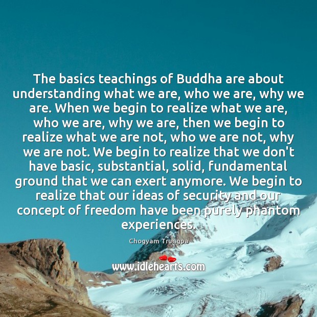 The basics teachings of Buddha are about understanding what we are, who Understanding Quotes Image