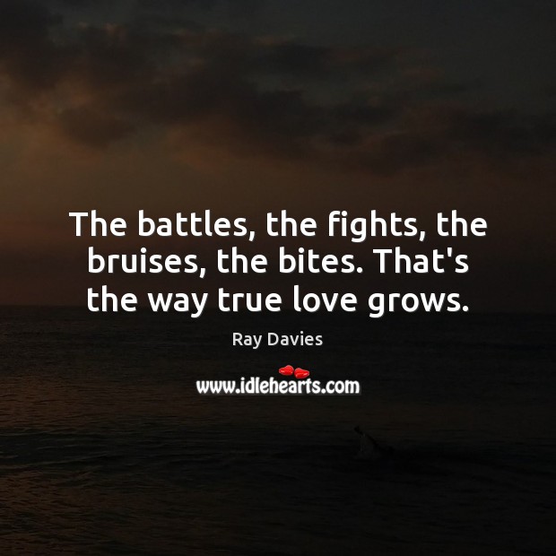 The battles, the fights, the bruises, the bites. That’s the way true love grows. Ray Davies Picture Quote