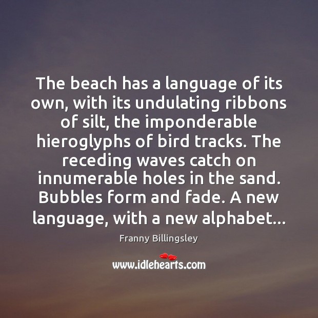 The beach has a language of its own, with its undulating ribbons Franny Billingsley Picture Quote