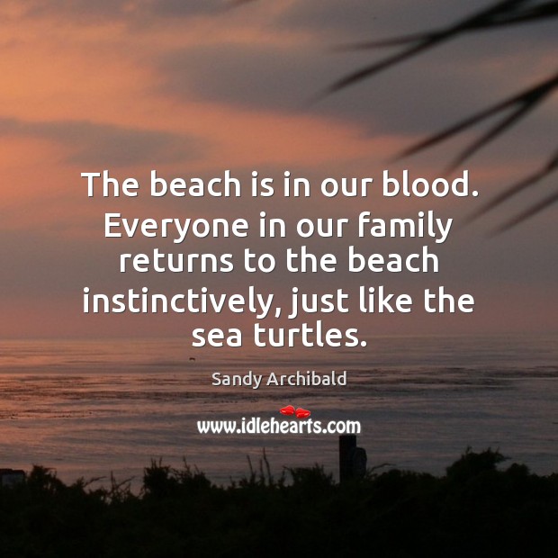 The beach is in our blood. Everyone in our family returns to Sandy Archibald Picture Quote