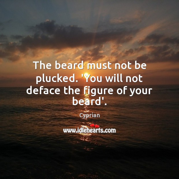 The beard must not be plucked. ‘You will not deface the figure of your beard’. Cyprian Picture Quote