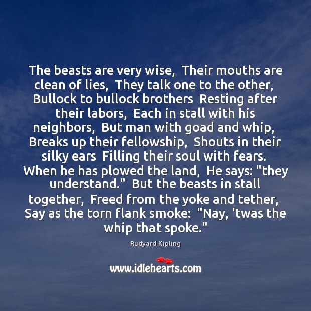 The beasts are very wise,  Their mouths are clean of lies,  They Rudyard Kipling Picture Quote