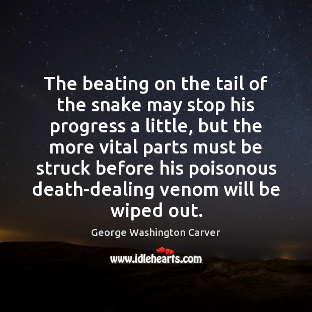 The beating on the tail of the snake may stop his progress George Washington Carver Picture Quote