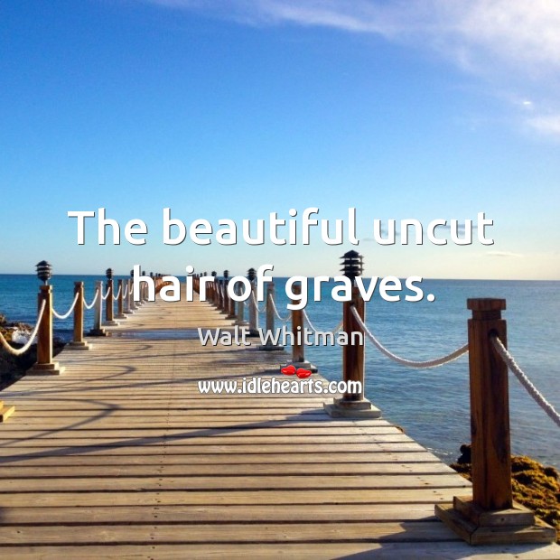 The beautiful uncut hair of graves. Walt Whitman Picture Quote