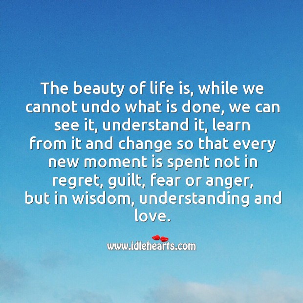 The beauty of life. Understanding Quotes Image