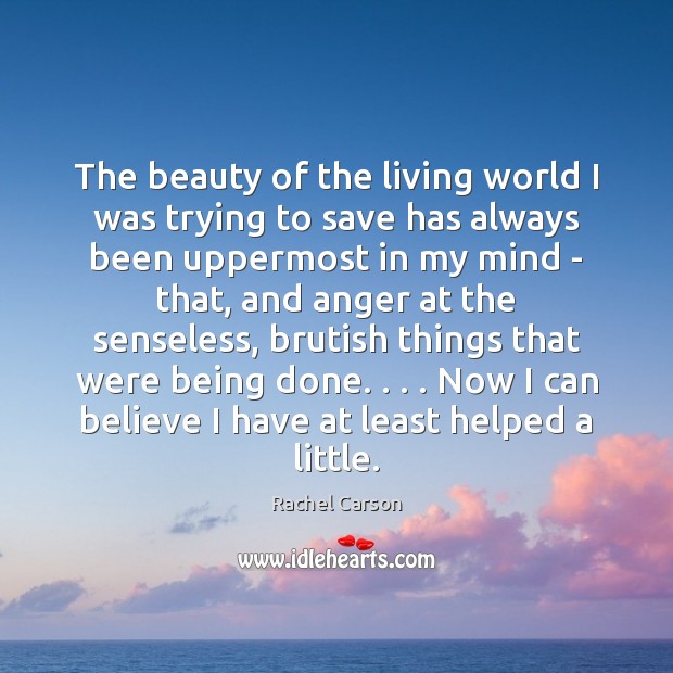 The beauty of the living world I was trying to save has Rachel Carson Picture Quote