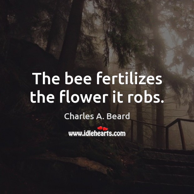 The bee fertilizes the flower it robs. Charles A. Beard Picture Quote