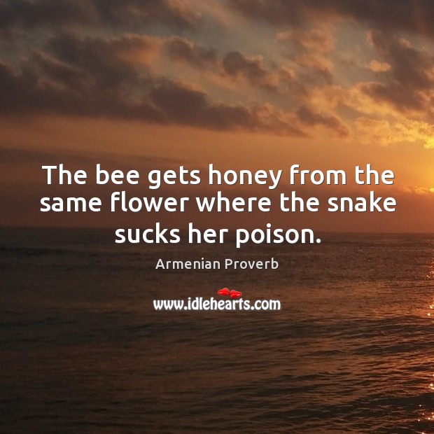 The bee gets honey from the same flower where the snake sucks her poison. Armenian Proverbs Image