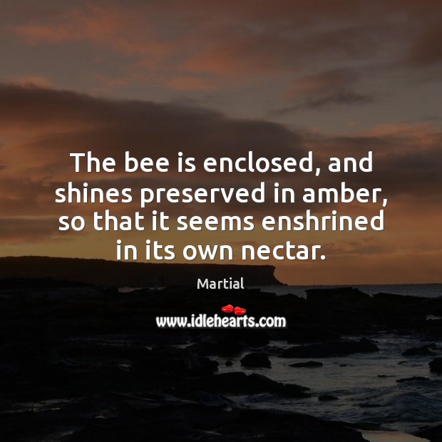 The bee is enclosed, and shines preserved in amber, so that it Martial Picture Quote