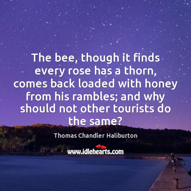 The bee, though it finds every rose has a thorn, comes back Image