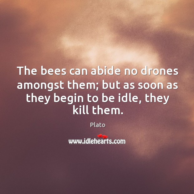 The bees can abide no drones amongst them; but as soon as Plato Picture Quote