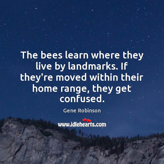 The bees learn where they live by landmarks. If they’re moved within Gene Robinson Picture Quote