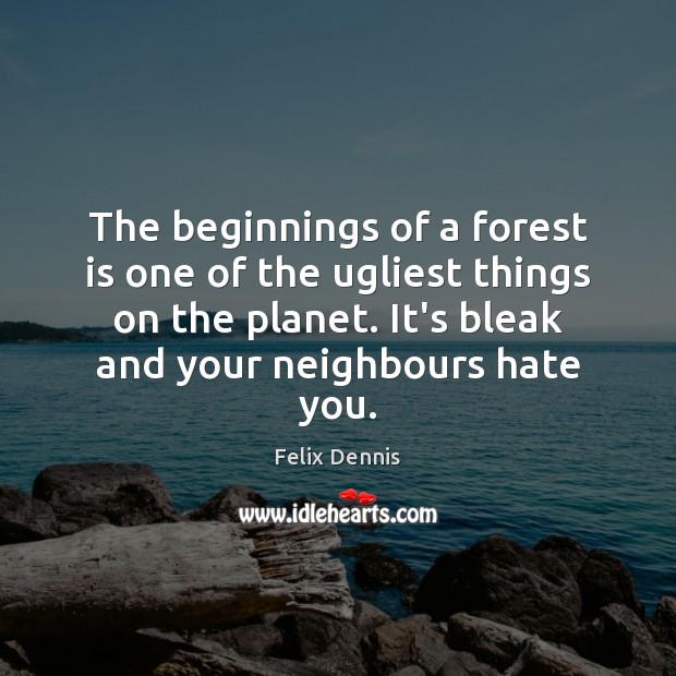 The beginnings of a forest is one of the ugliest things on Image