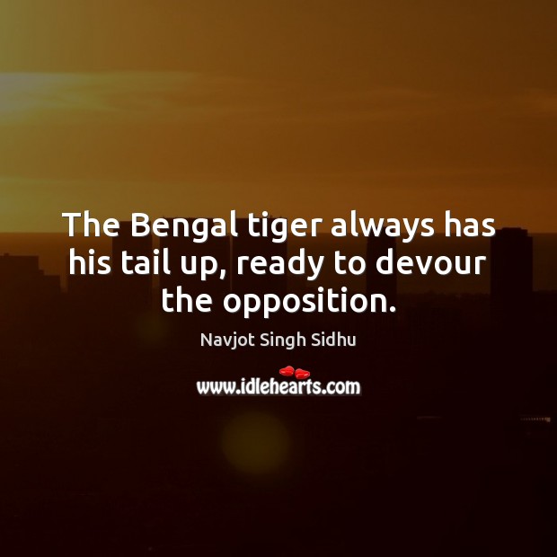 The Bengal tiger always has his tail up, ready to devour the opposition. Image