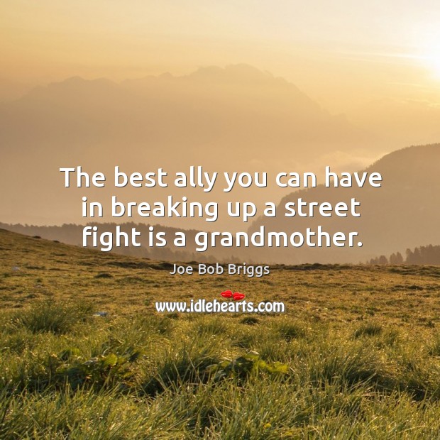 The best ally you can have in breaking up a street fight is a grandmother. Joe Bob Briggs Picture Quote