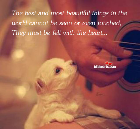 The best and most beautiful things in the world cannot. Image