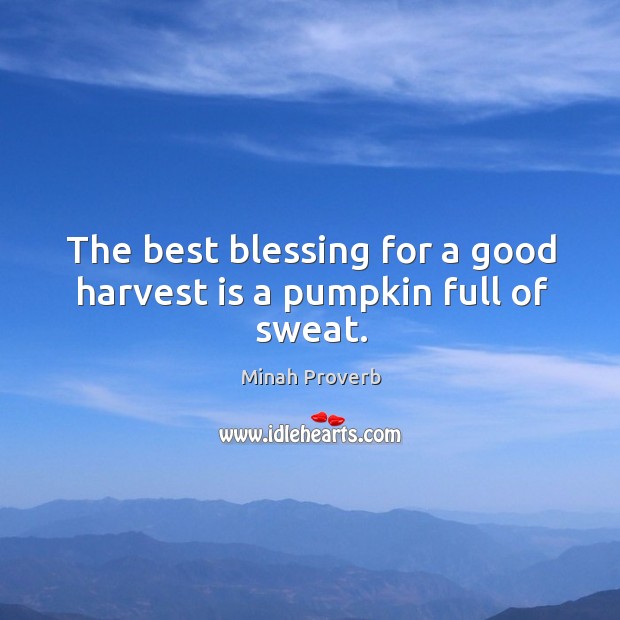 The best blessing for a good harvest is a pumpkin full of sweat. Minah Proverbs Image