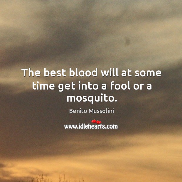 The best blood will at some time get into a fool or a mosquito. Benito Mussolini Picture Quote