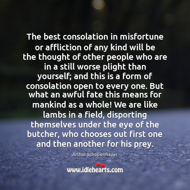 The best consolation in misfortune or affliction of any kind will be Arthur Schopenhauer Picture Quote