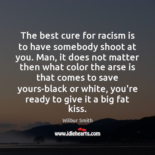 The best cure for racism is to have somebody shoot at you. Wilbur Smith Picture Quote