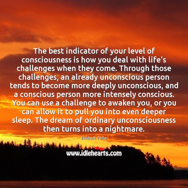 The best indicator of your level of consciousness is how you deal Eckhart Tolle Picture Quote