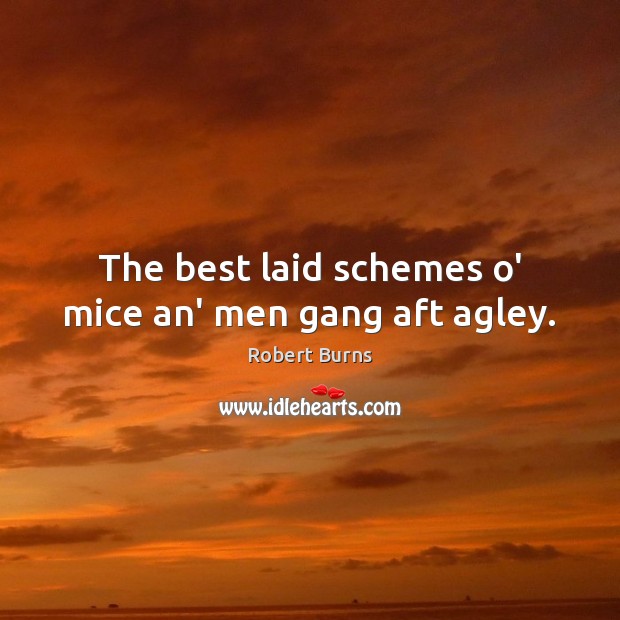 The best laid schemes o’ mice an’ men gang aft agley. Robert Burns Picture Quote
