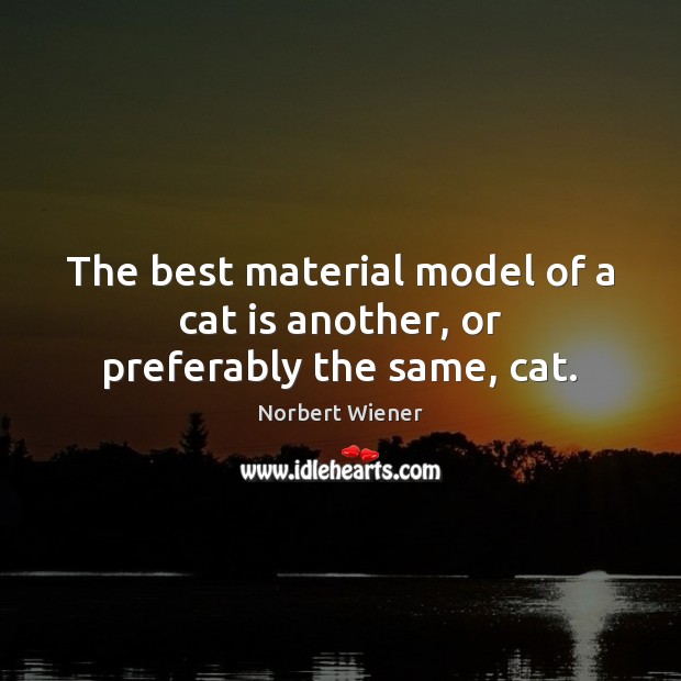 The best material model of a cat is another, or preferably the same, cat. Norbert Wiener Picture Quote