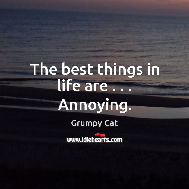 The best things in life are . . . Annoying. Grumpy Cat Picture Quote