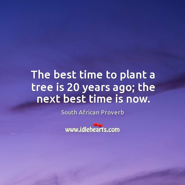 The best time to plant a tree is 20 years ago; the next best time is now. South African Proverbs Image
