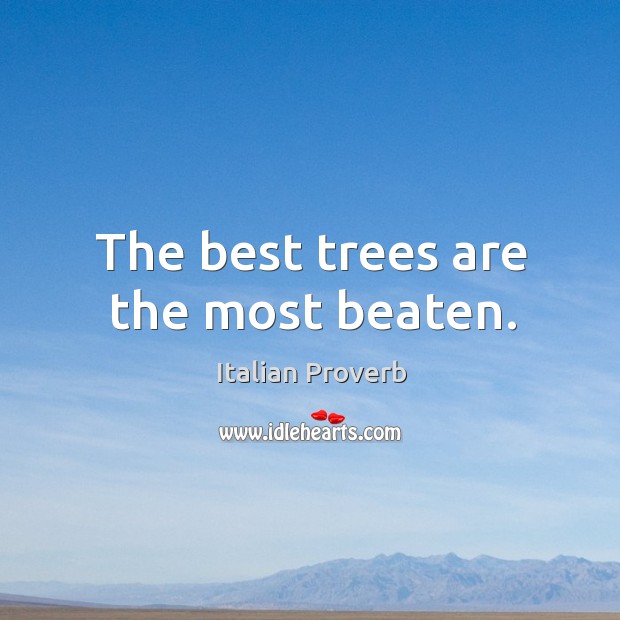 The best trees are the most beaten. Image