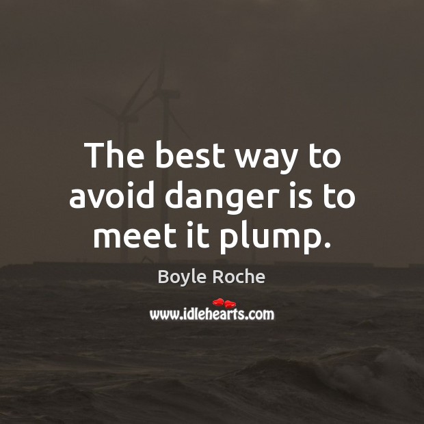 The best way to avoid danger is to meet it plump. Image