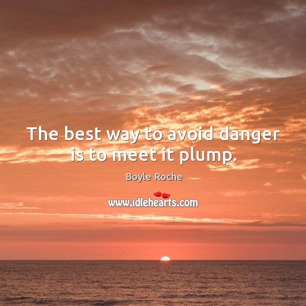 The best way to avoid danger is to meet it plump. Image