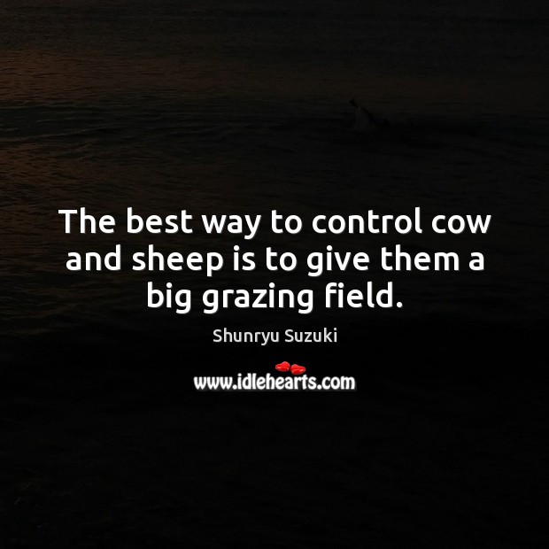 The best way to control cow and sheep is to give them a big grazing field. Image