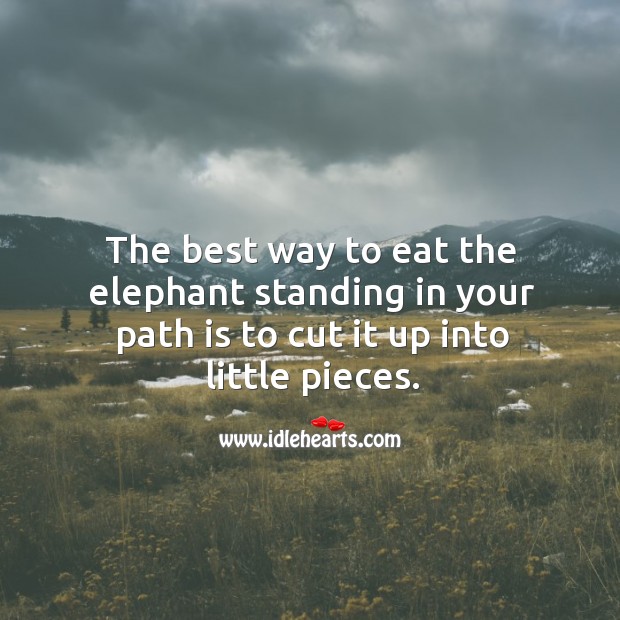 The best way to eat the elephant standing in your path is to cut it up into little pieces. African Proverbs Image