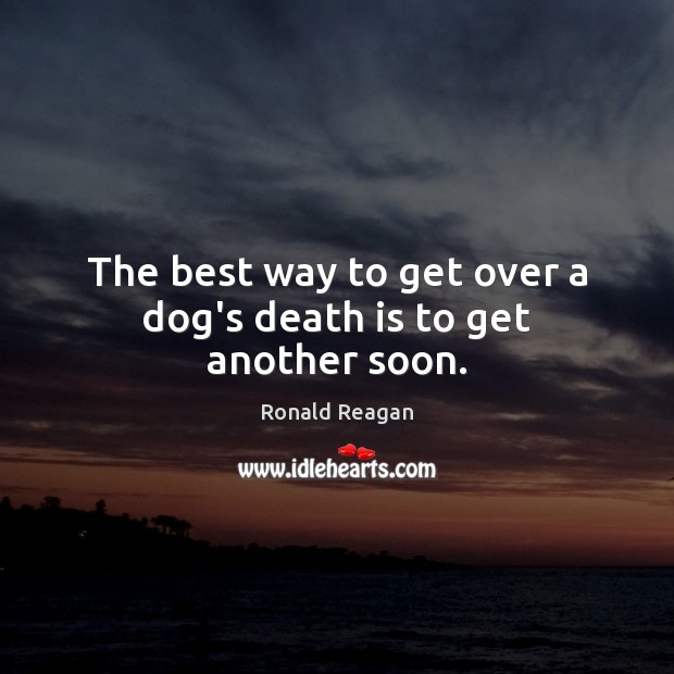 The best way to get over a dog’s death is to get another soon. Image