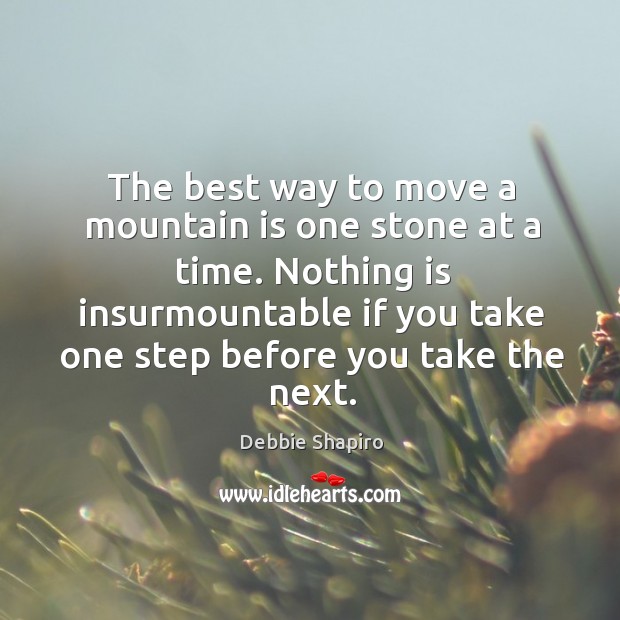 The best way to move a mountain is one stone at a Debbie Shapiro Picture Quote