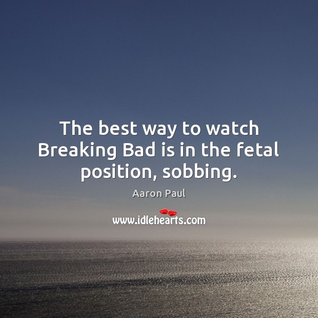 The best way to watch Breaking Bad is in the fetal position, sobbing. Aaron Paul Picture Quote