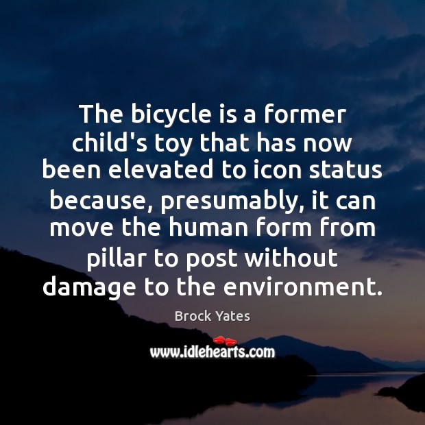 The bicycle is a former child’s toy that has now been elevated Image