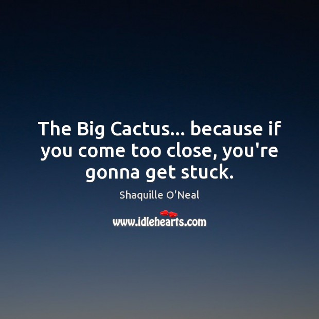 The Big Cactus… because if you come too close, you’re gonna get stuck. Image