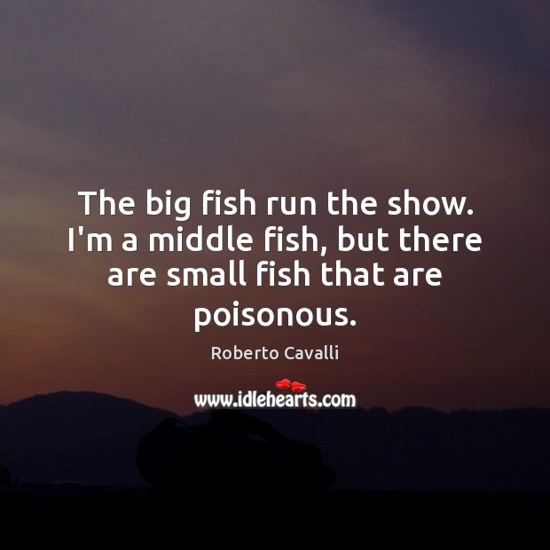 The big fish run the show. I’m a middle fish, but there are small fish that are poisonous. Roberto Cavalli Picture Quote