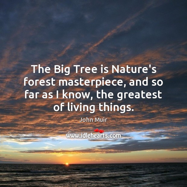The Big Tree is Nature’s forest masterpiece, and so far as I John Muir Picture Quote