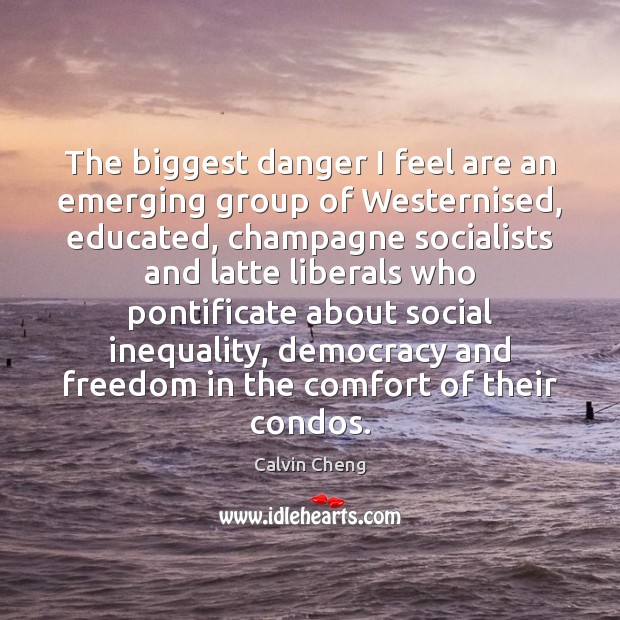 The biggest danger I feel are an emerging group of Westernised, educated, Calvin Cheng Picture Quote