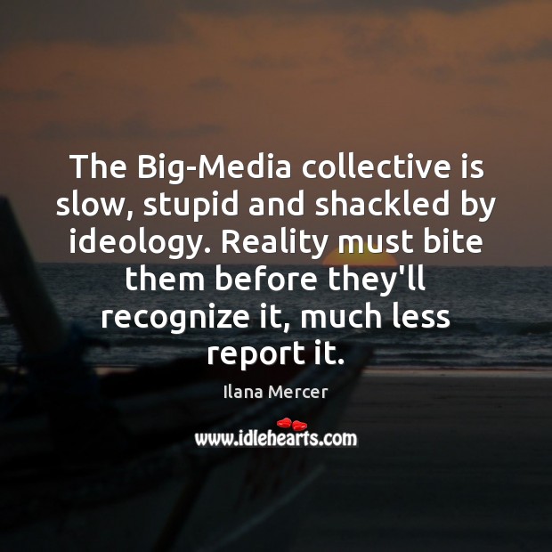 The Big-Media collective is slow, stupid and shackled by ideology. Reality must Image