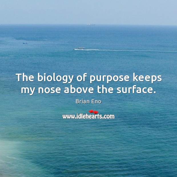 The biology of purpose keeps my nose above the surface. Brian Eno Picture Quote