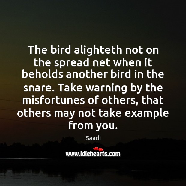 The bird alighteth not on the spread net when it beholds another Saadi Picture Quote