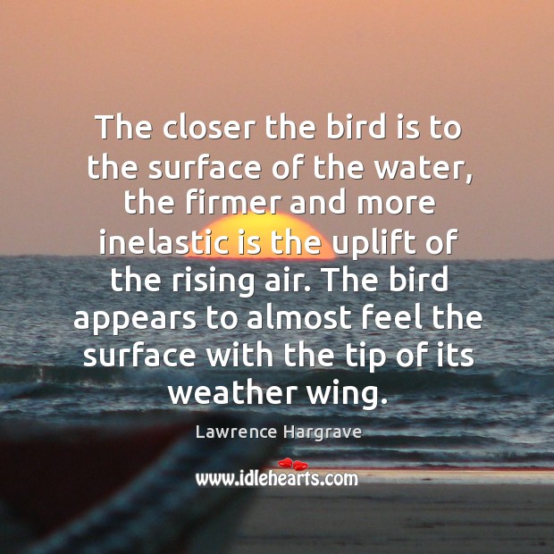 The bird appears to almost feel the surface with the tip of its weather wing. Lawrence Hargrave Picture Quote