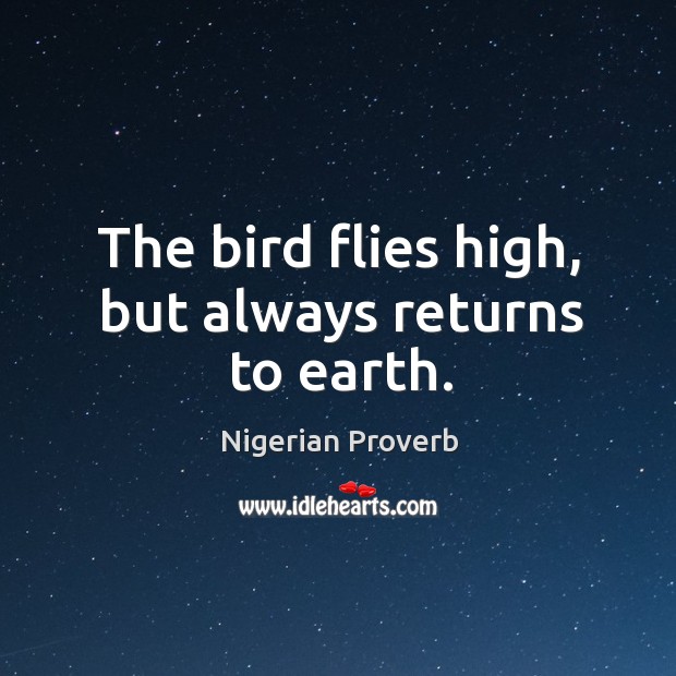 The bird flies high, but always returns to earth. Image