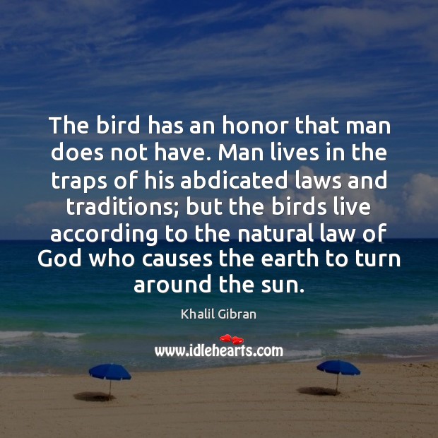 The bird has an honor that man does not have. Man lives Image