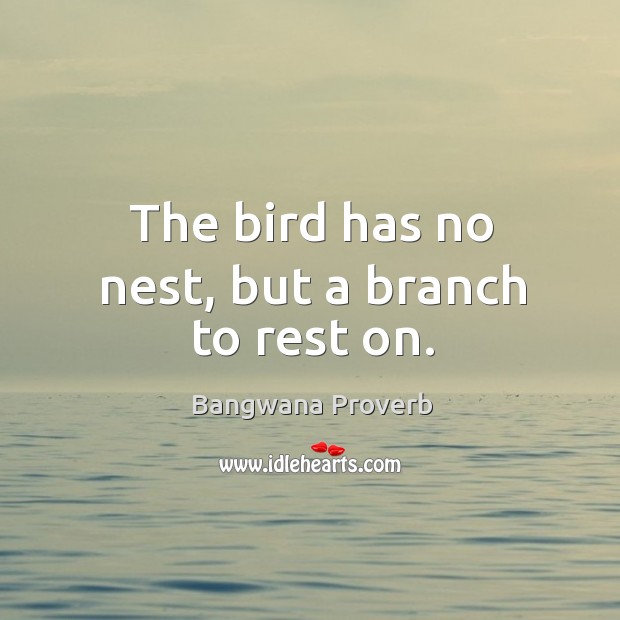 The bird has no nest, but a branch to rest on. Bangwana Proverbs Image