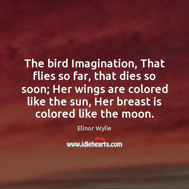 The bird Imagination, That flies so far, that dies so soon; Her Elinor Wylie Picture Quote